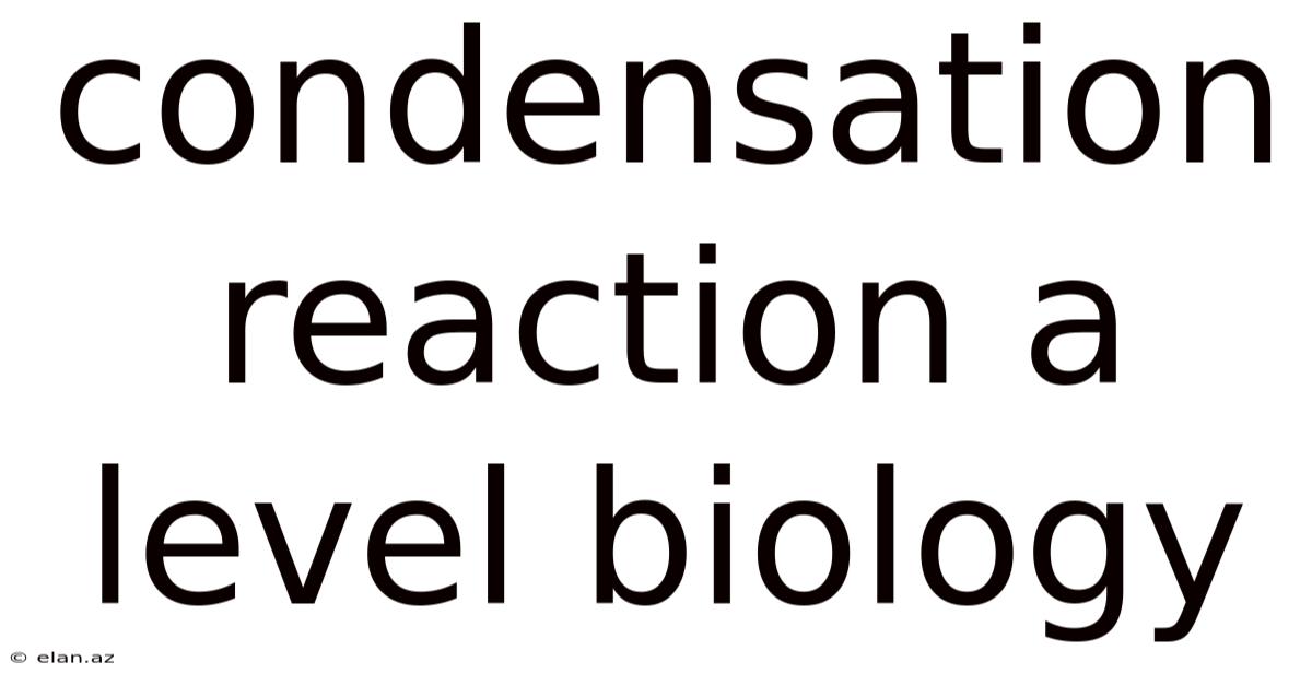 Condensation Reaction A Level Biology