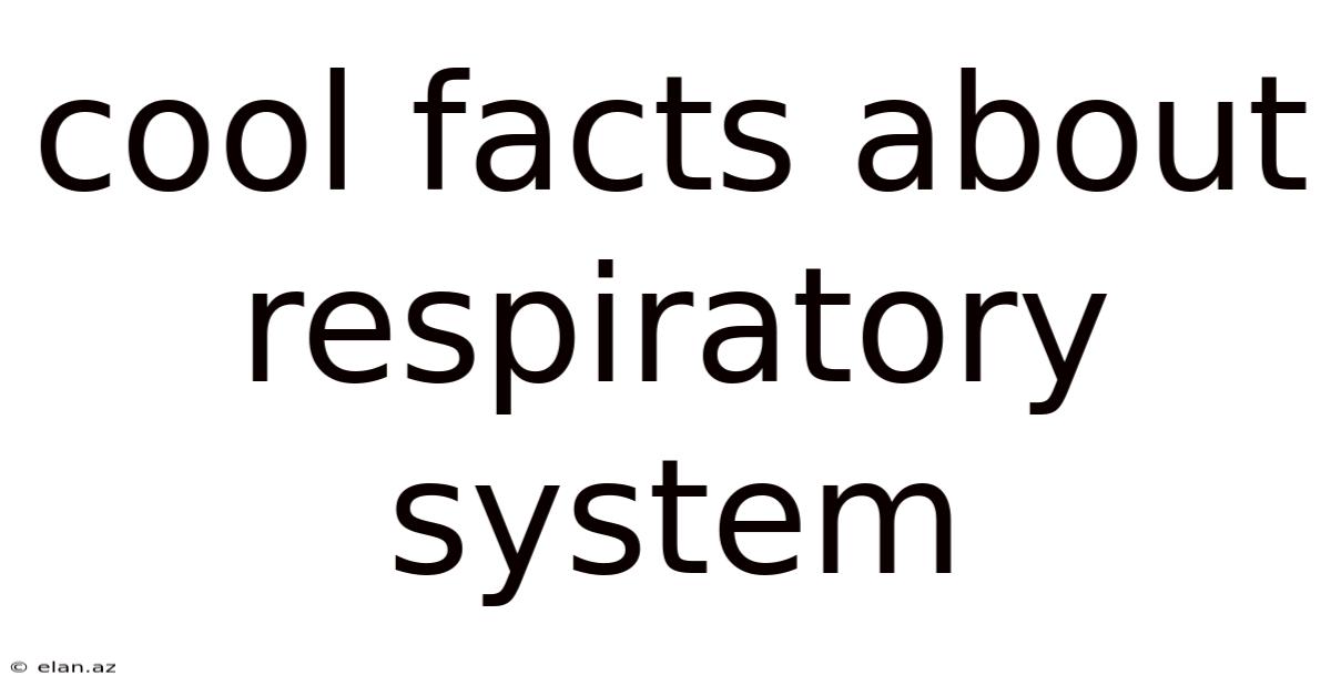 Cool Facts About Respiratory System