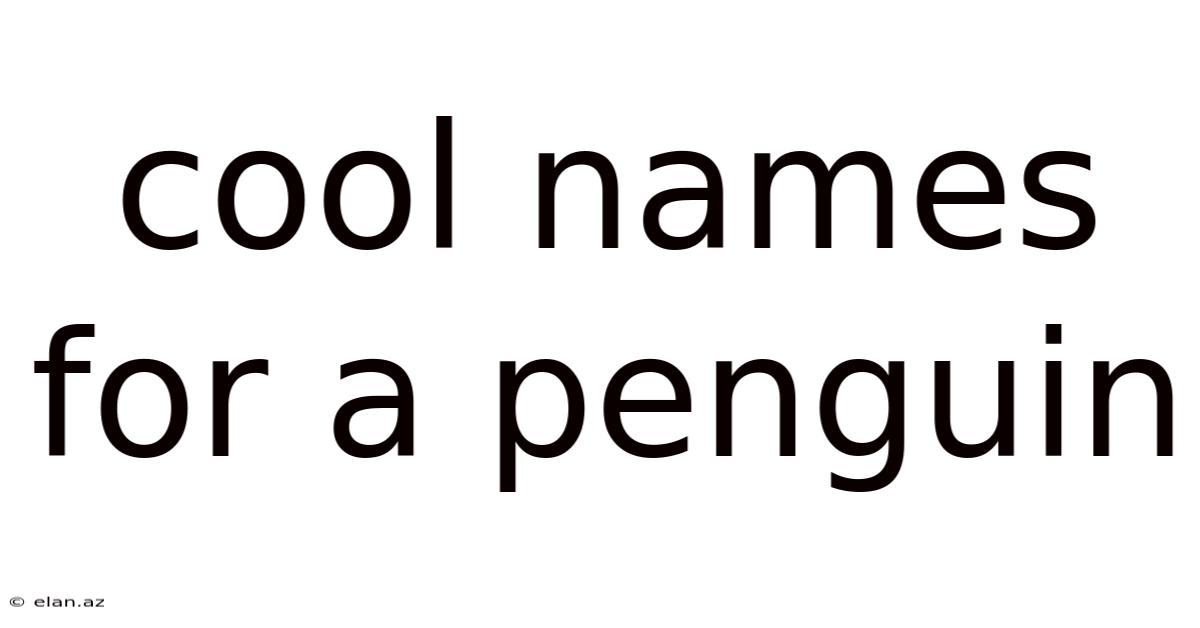 Cool Names For A Penguin