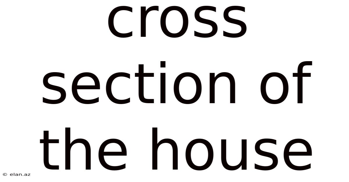 Cross Section Of The House