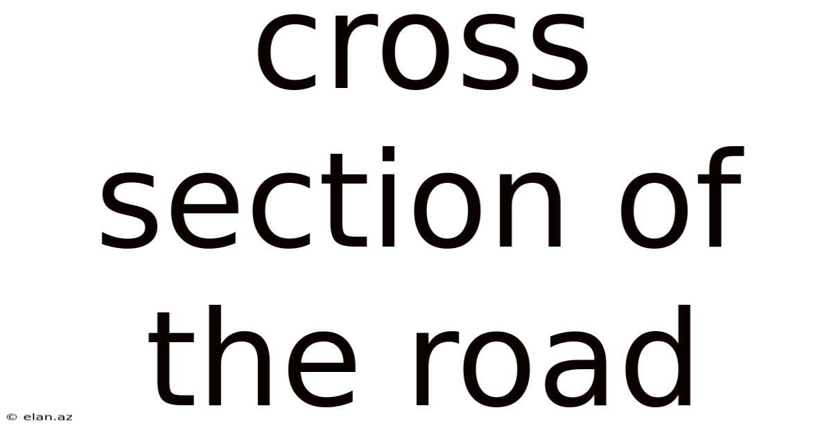 Cross Section Of The Road