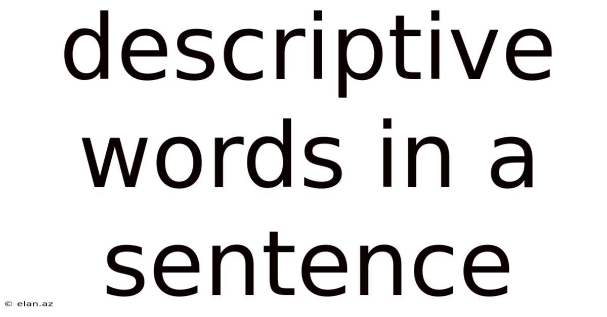 Descriptive Words In A Sentence