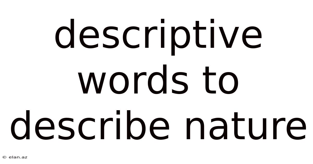 Descriptive Words To Describe Nature