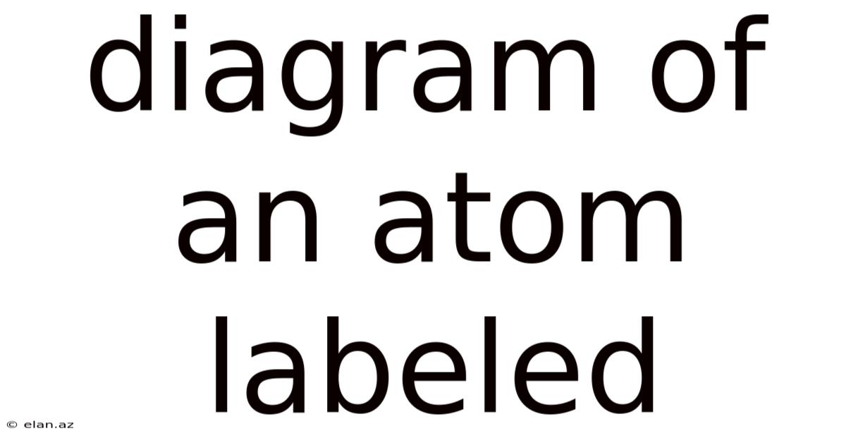 Diagram Of An Atom Labeled