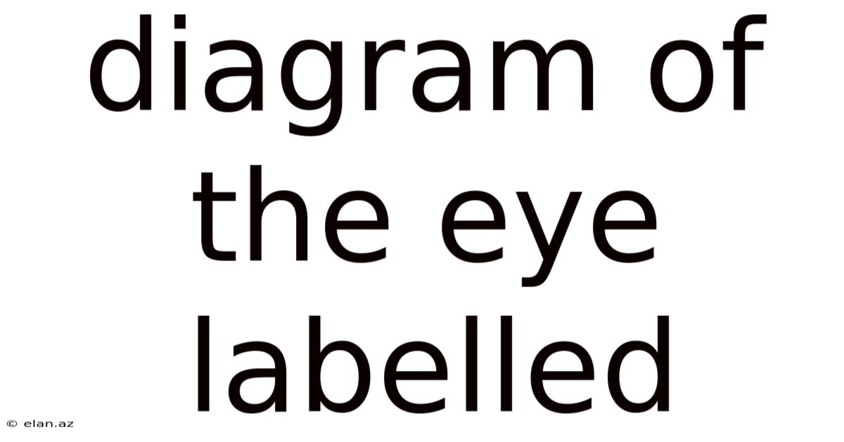 Diagram Of The Eye Labelled