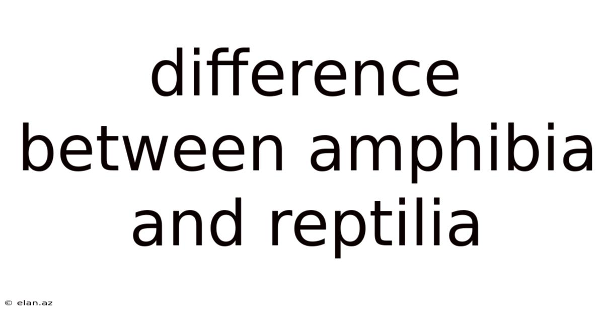 Difference Between Amphibia And Reptilia