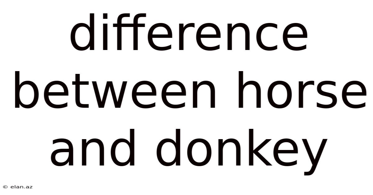 Difference Between Horse And Donkey
