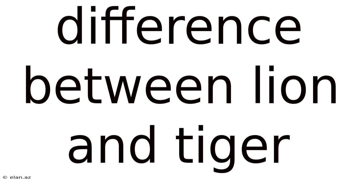 Difference Between Lion And Tiger