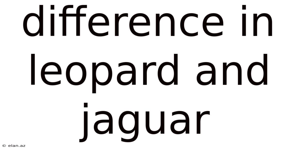 Difference In Leopard And Jaguar