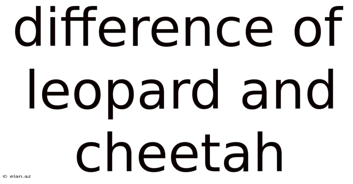 Difference Of Leopard And Cheetah