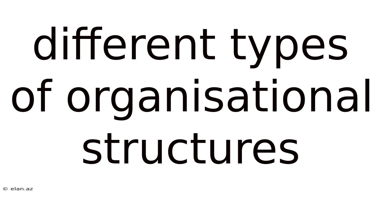 Different Types Of Organisational Structures