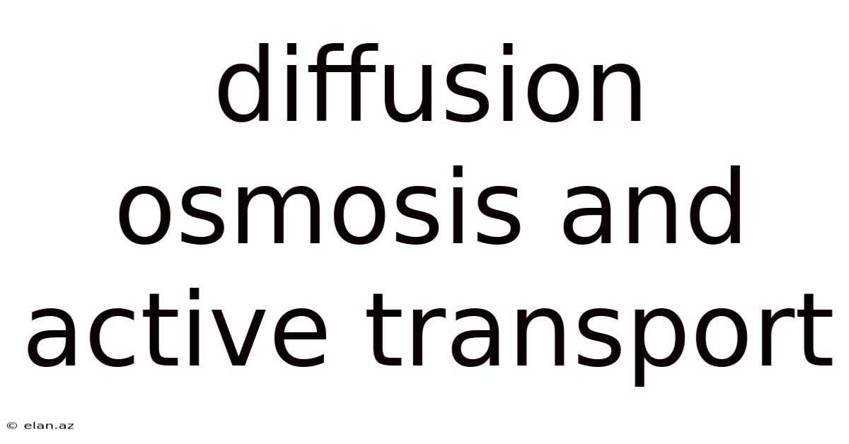 Diffusion Osmosis And Active Transport