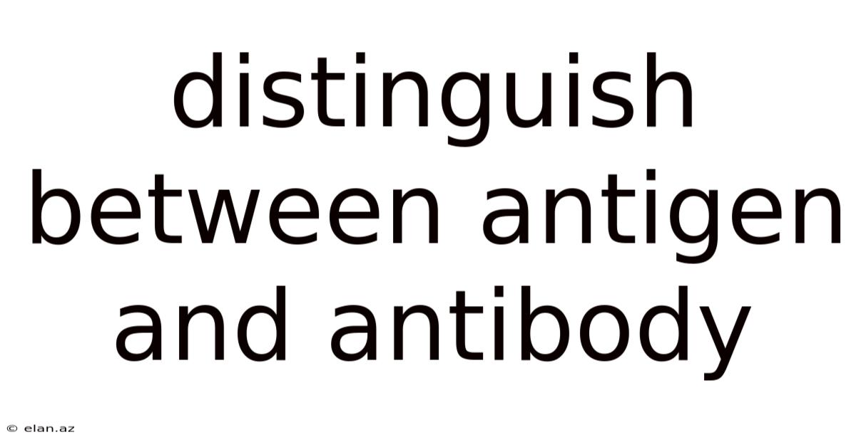 Distinguish Between Antigen And Antibody