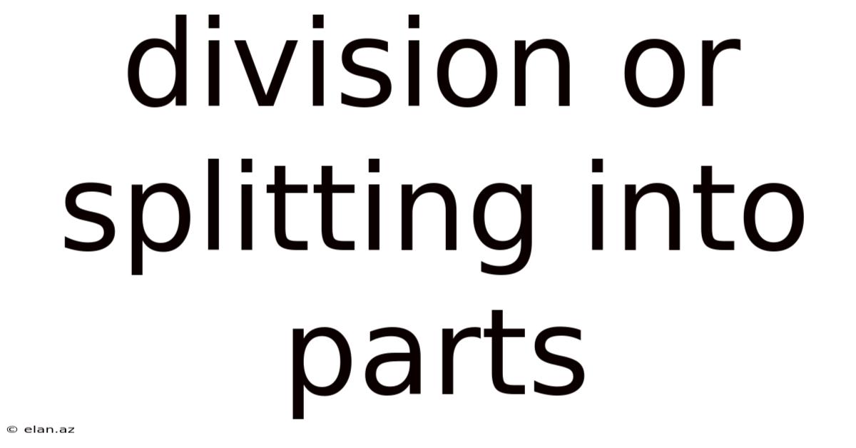 Division Or Splitting Into Parts
