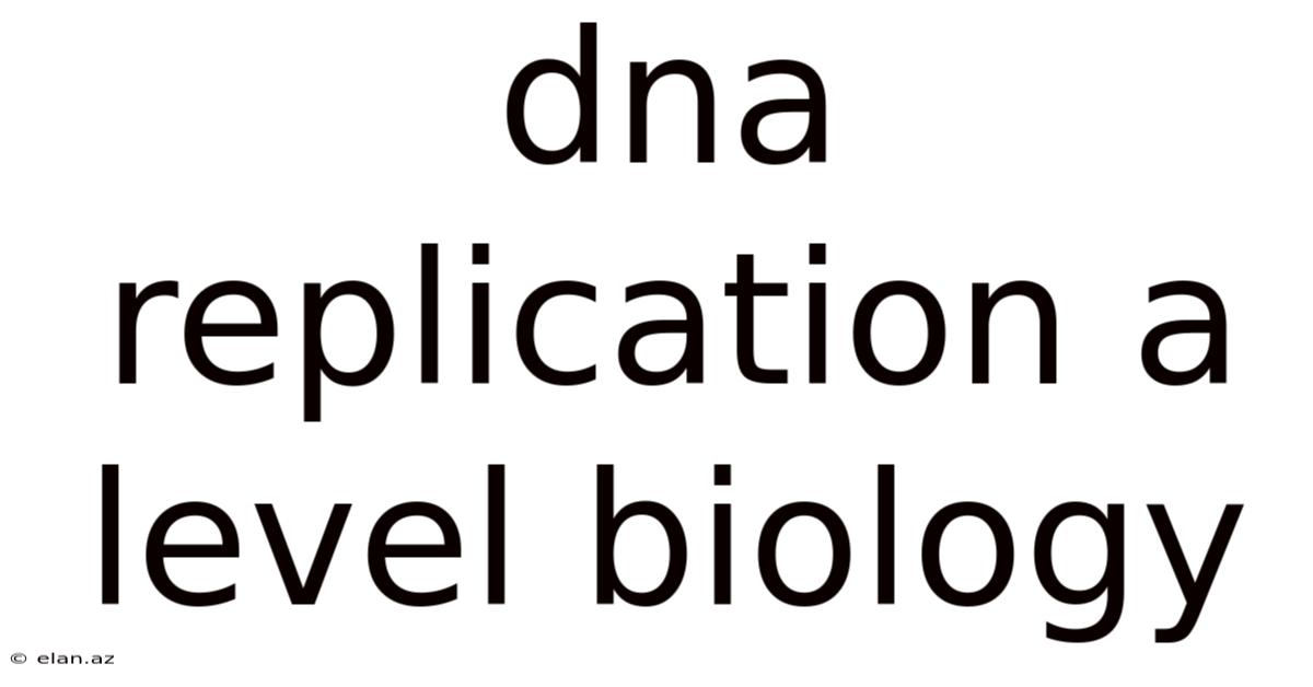 Dna Replication A Level Biology