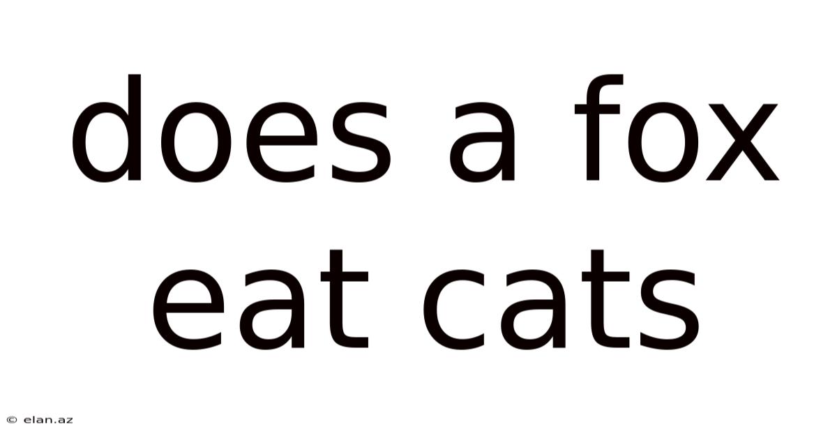 Does A Fox Eat Cats