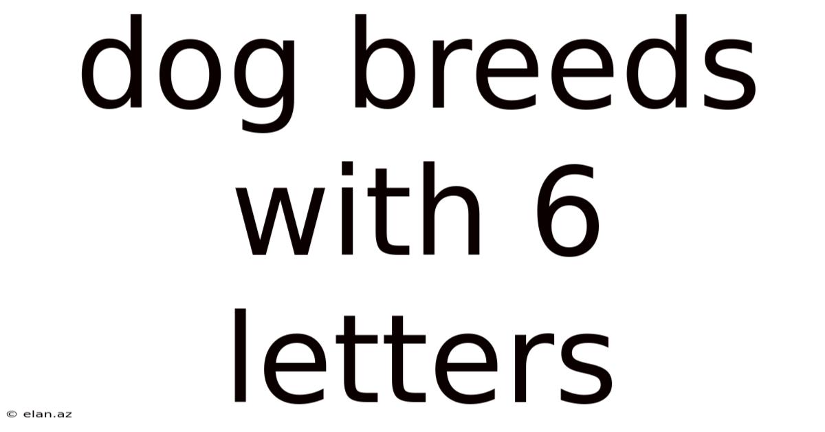 Dog Breeds With 6 Letters