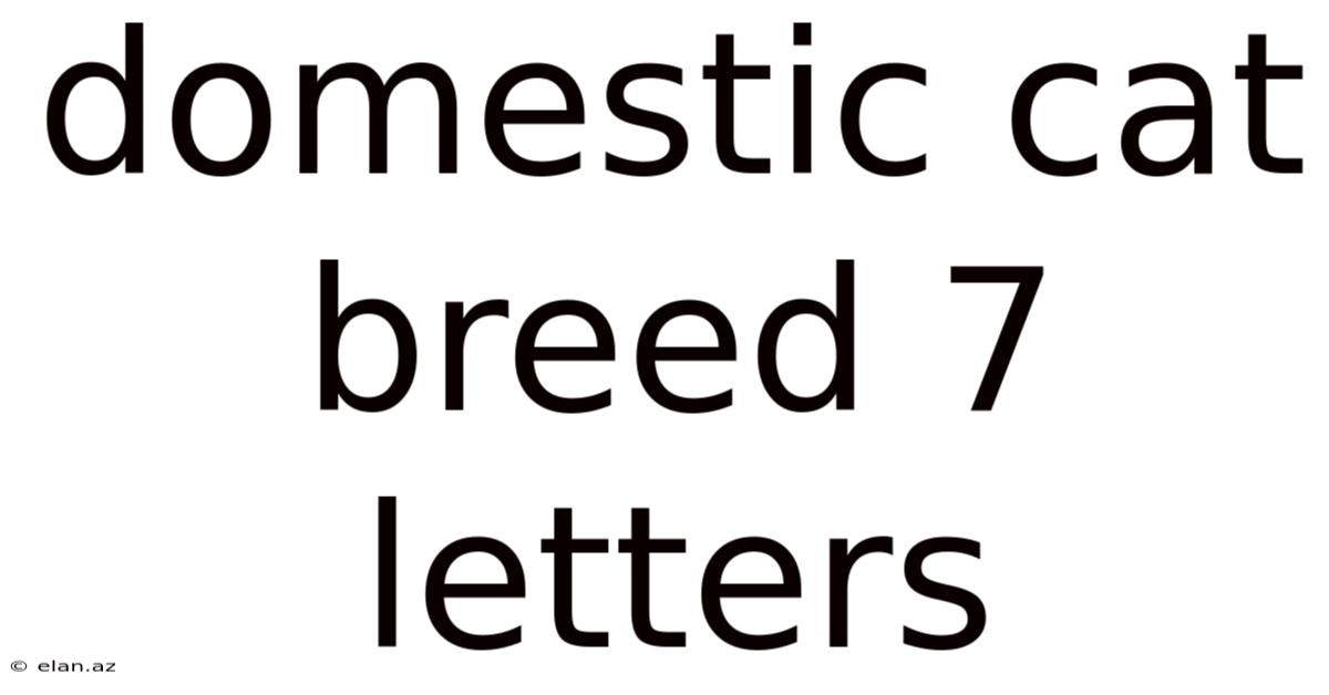 Domestic Cat Breed 7 Letters