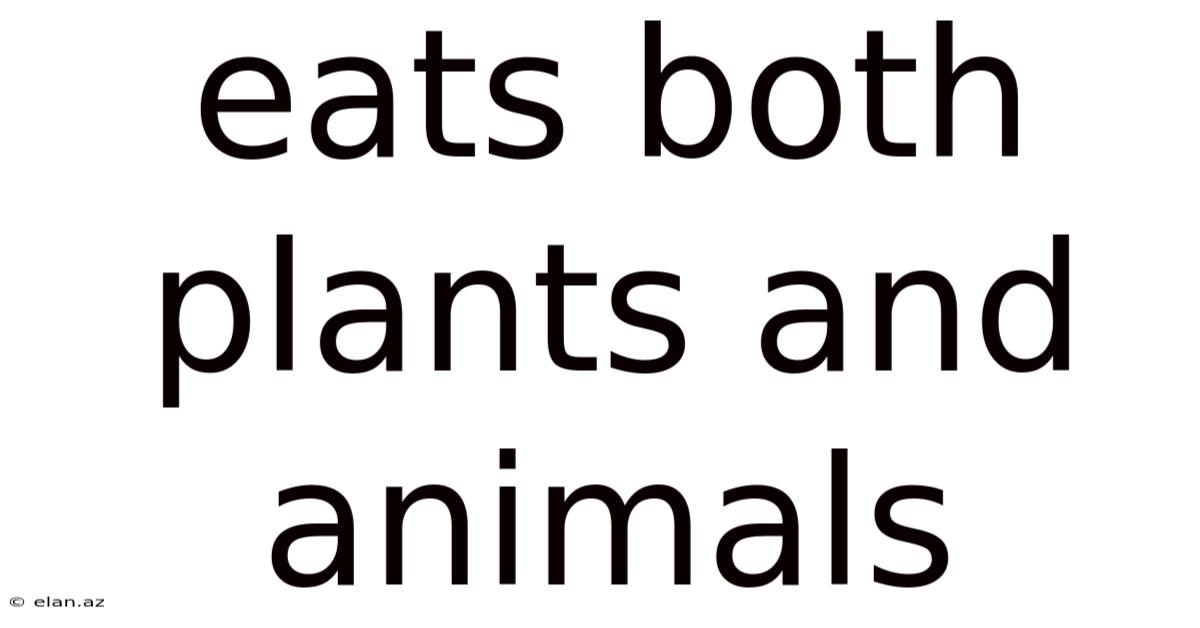 Eats Both Plants And Animals