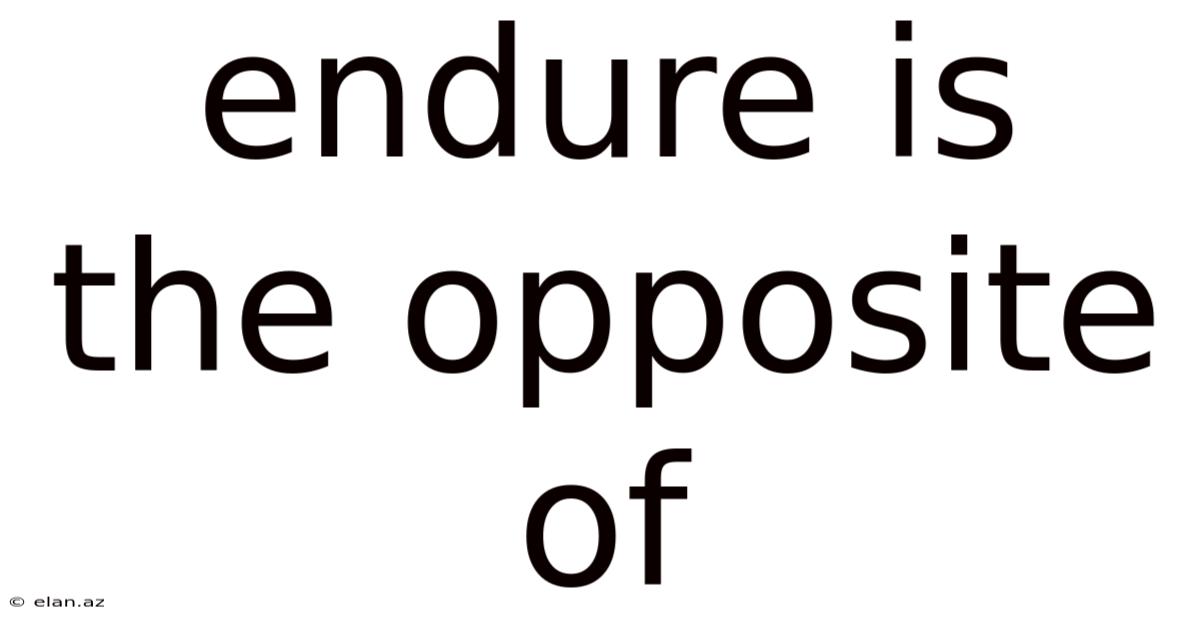 Endure Is The Opposite Of