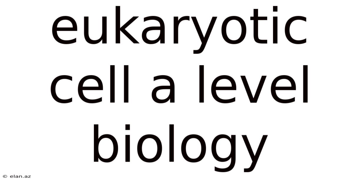 Eukaryotic Cell A Level Biology