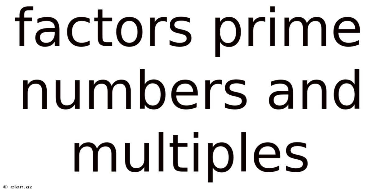 Factors Prime Numbers And Multiples