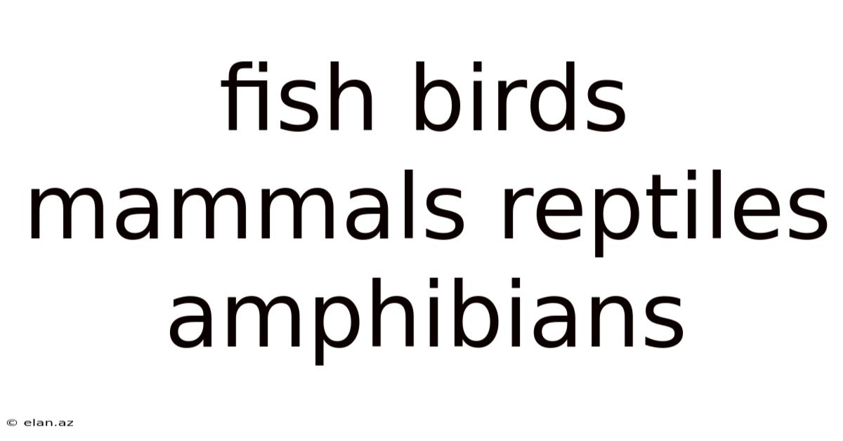 Fish Birds Mammals Reptiles Amphibians