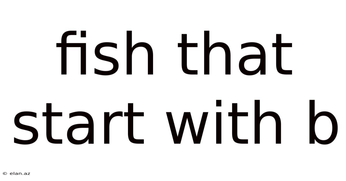 Fish That Start With B