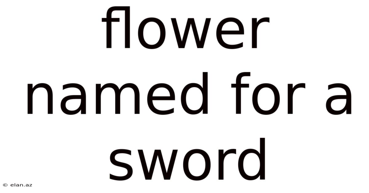 Flower Named For A Sword