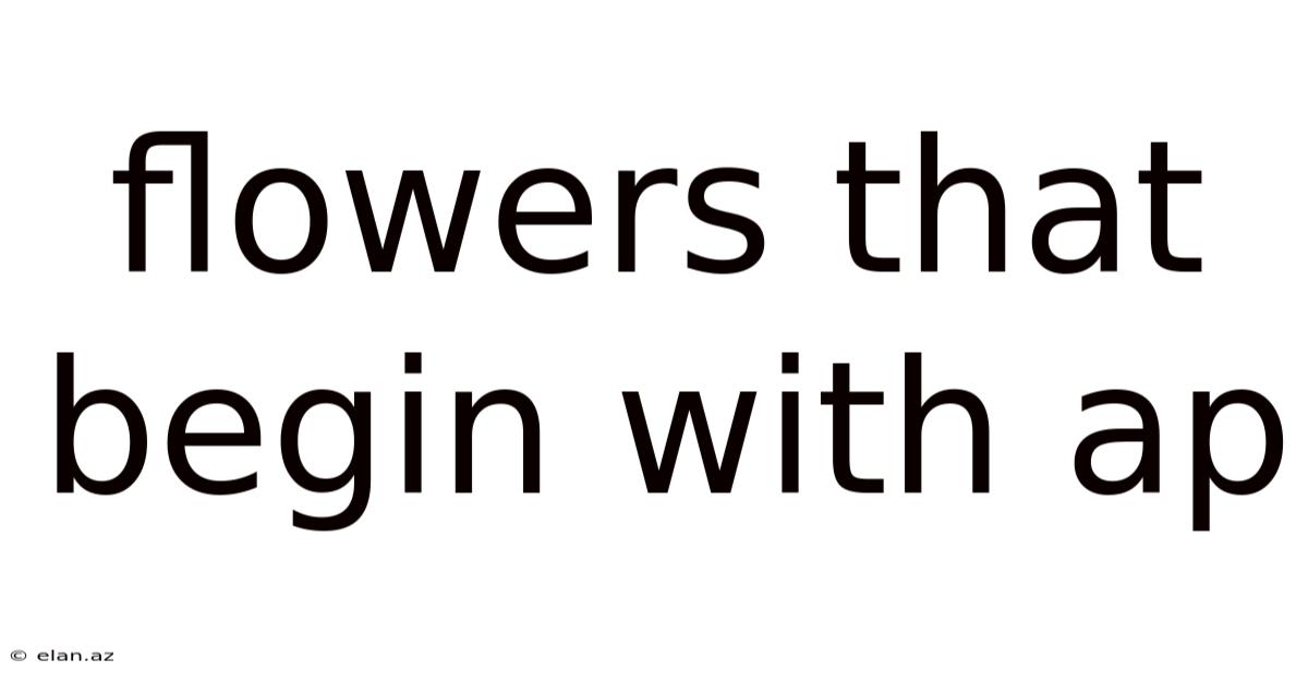 Flowers That Begin With Ap