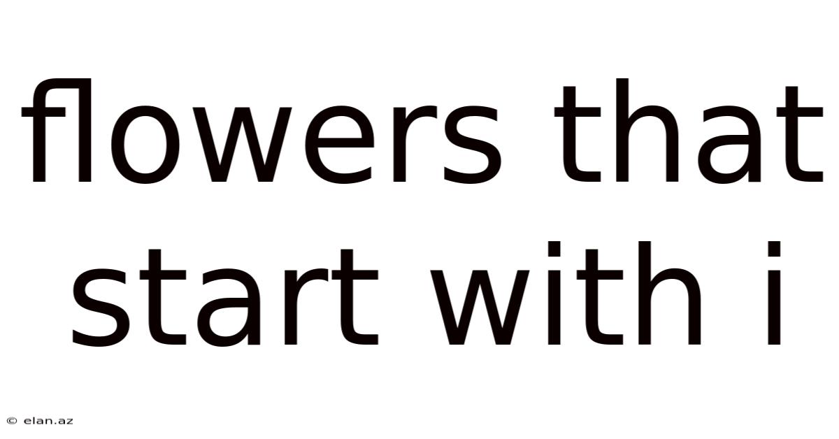 Flowers That Start With I