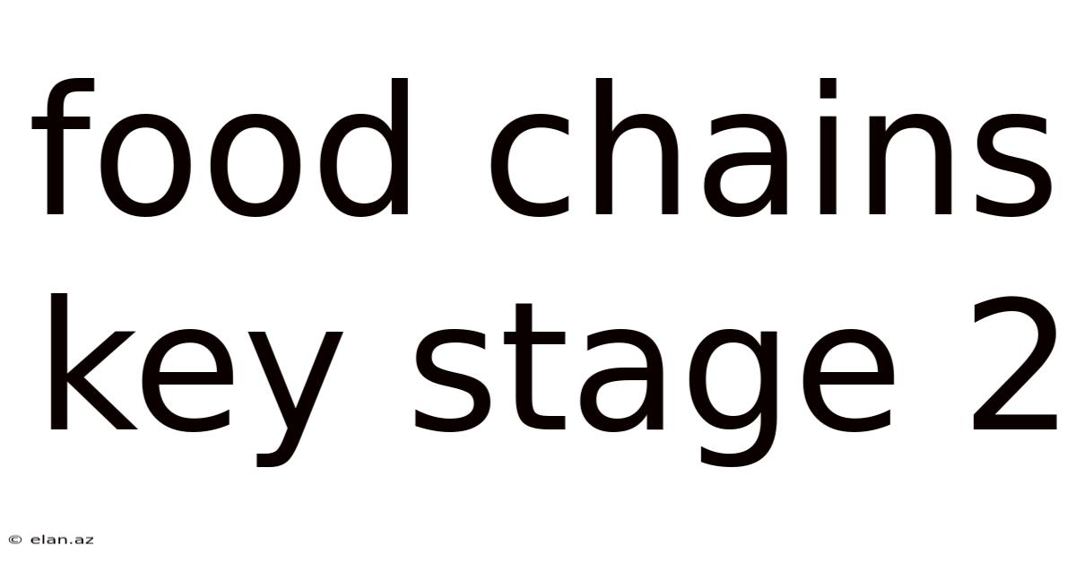 Food Chains Key Stage 2