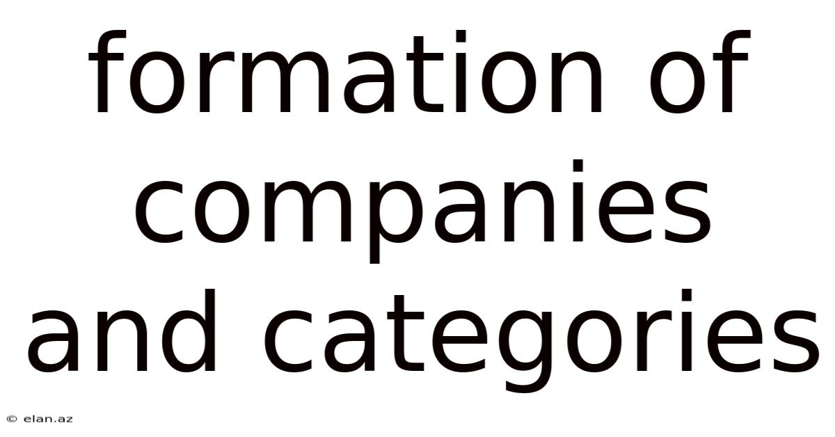 Formation Of Companies And Categories