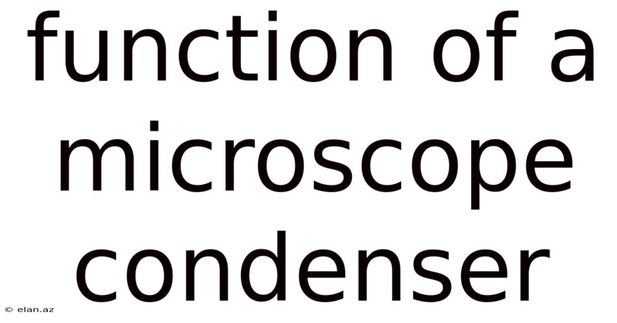 Function Of A Microscope Condenser