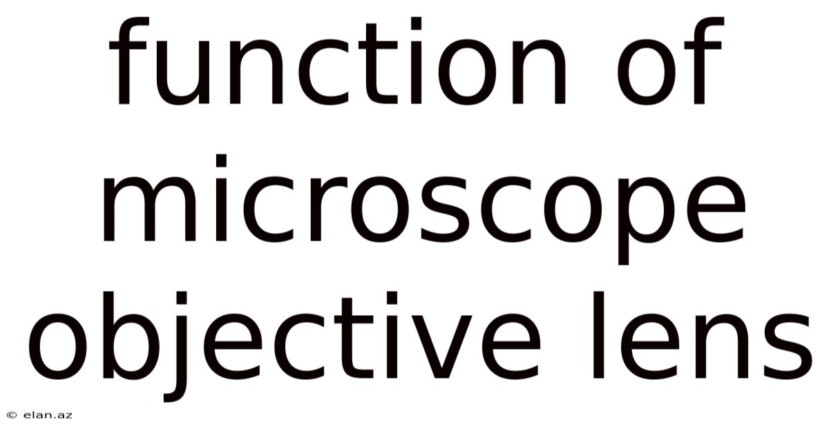 Function Of Microscope Objective Lens