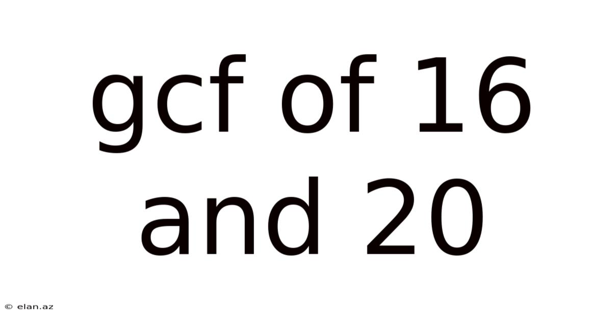 Gcf Of 16 And 20