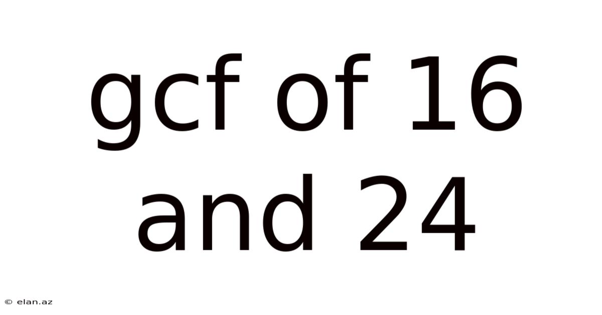 Gcf Of 16 And 24