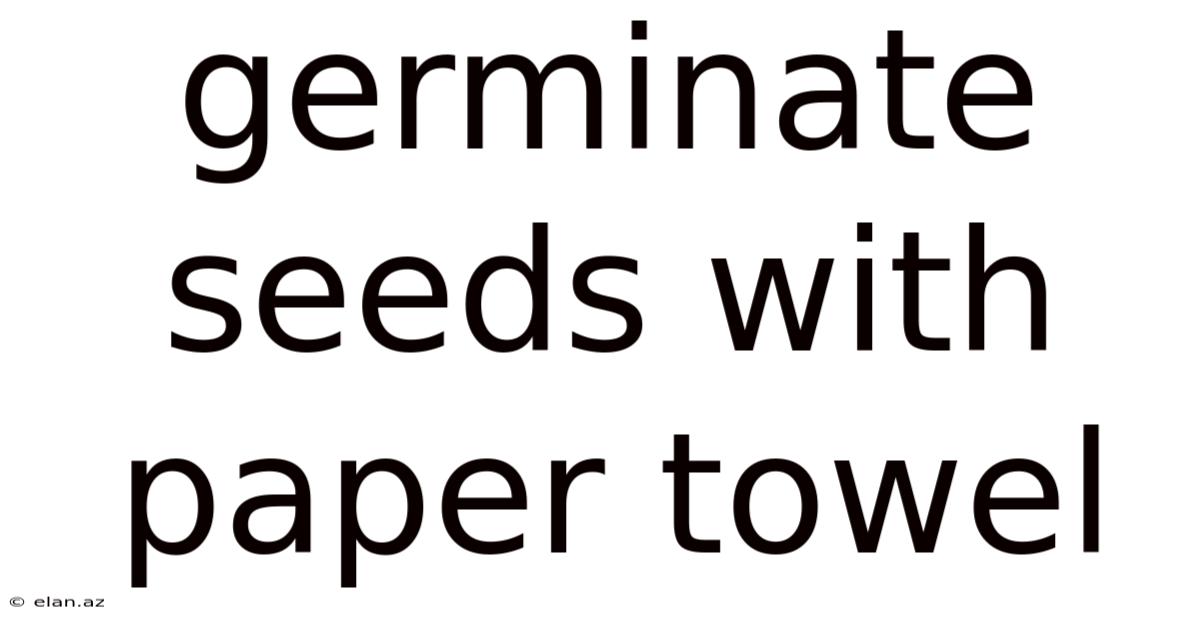 Germinate Seeds With Paper Towel