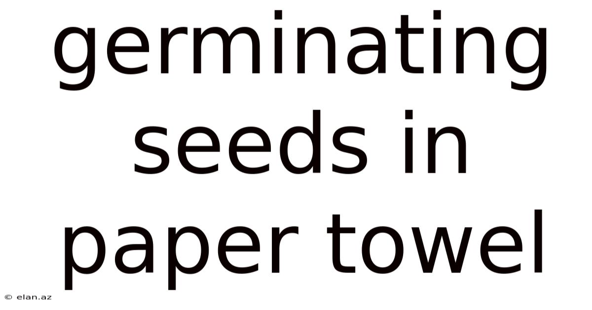 Germinating Seeds In Paper Towel
