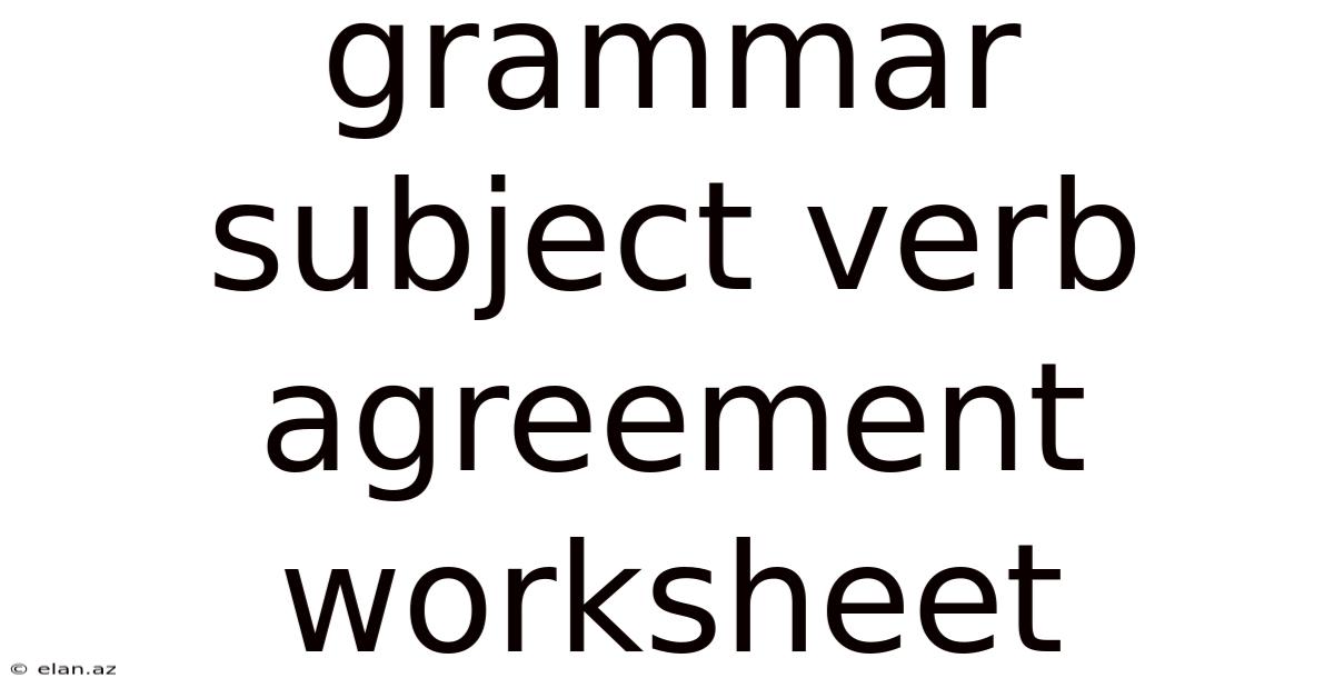 Grammar Subject Verb Agreement Worksheet