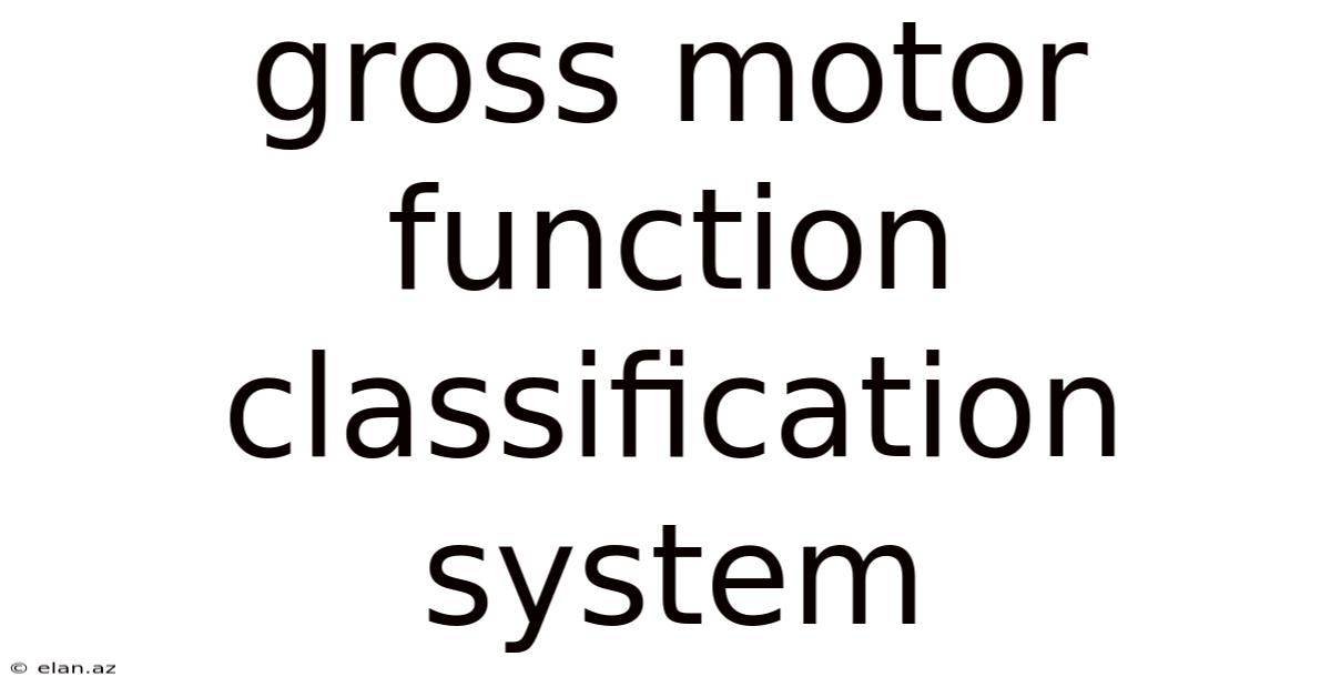 Gross Motor Function Classification System