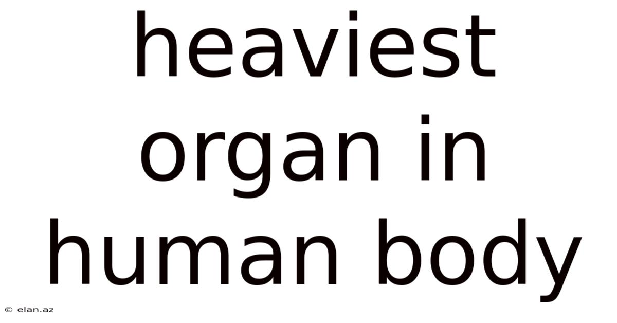 Heaviest Organ In Human Body