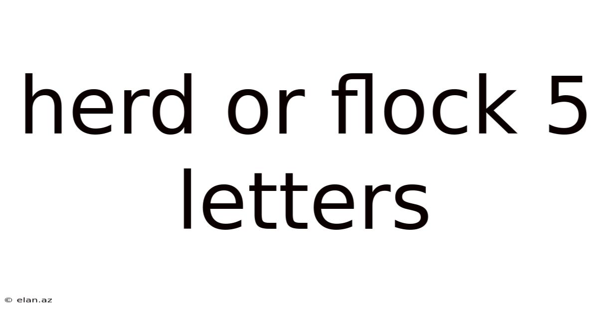 Herd Or Flock 5 Letters