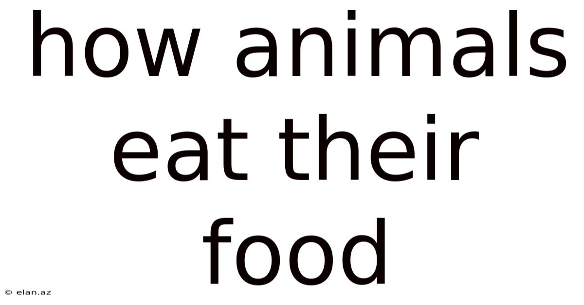 How Animals Eat Their Food