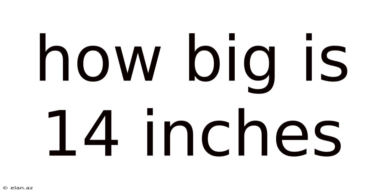 How Big Is 14 Inches
