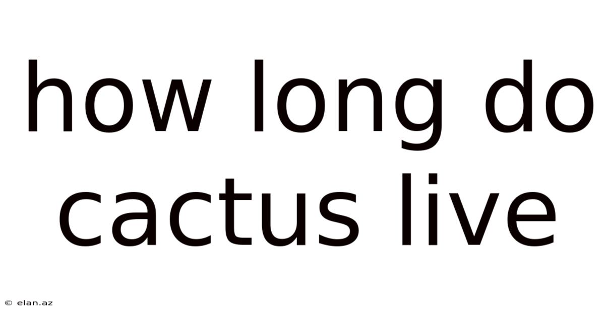 How Long Do Cactus Live