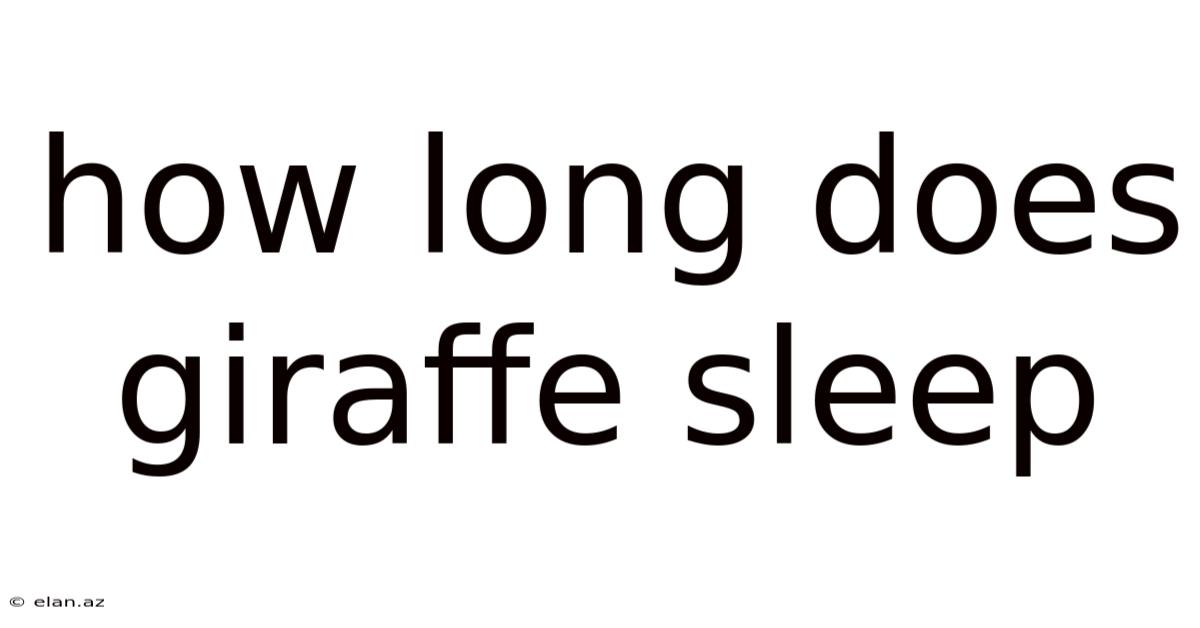 How Long Does Giraffe Sleep