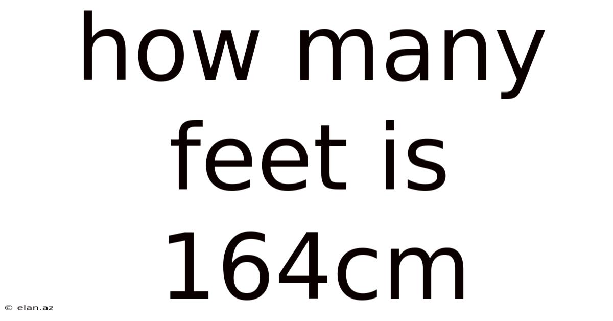 How Many Feet Is 164cm