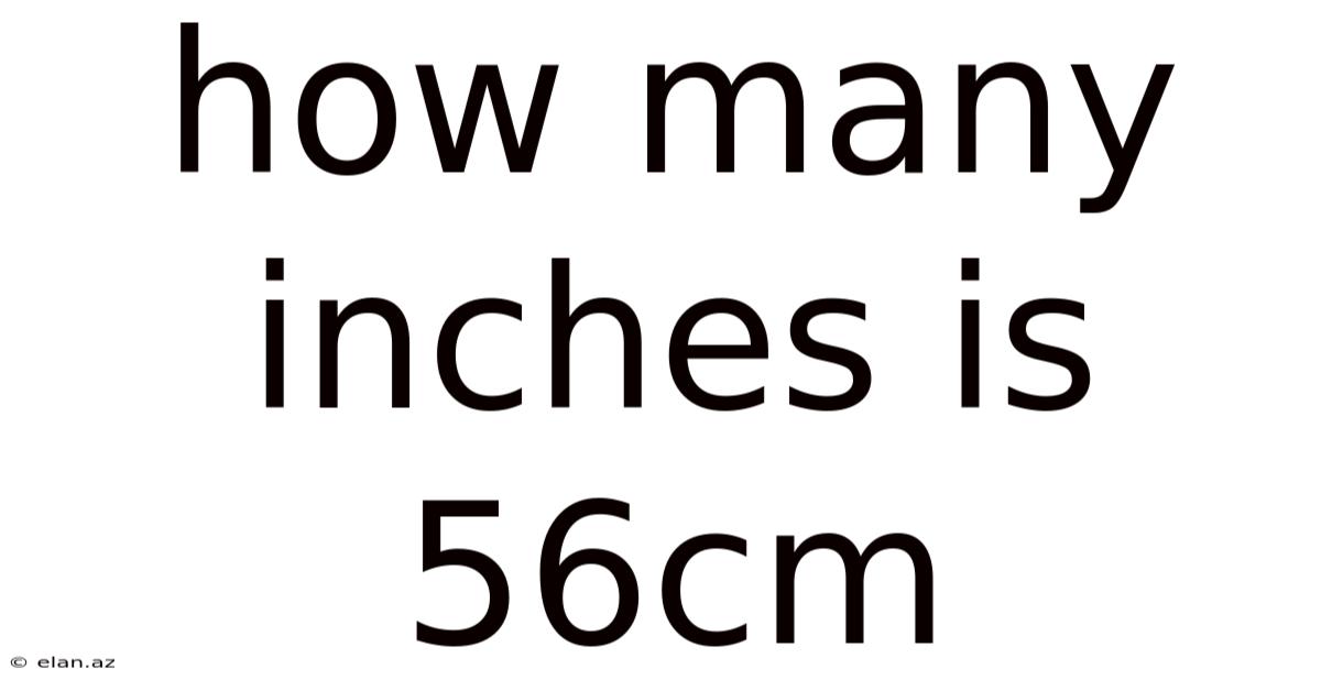 How Many Inches Is 56cm