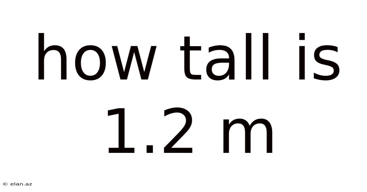 How Tall Is 1.2 M